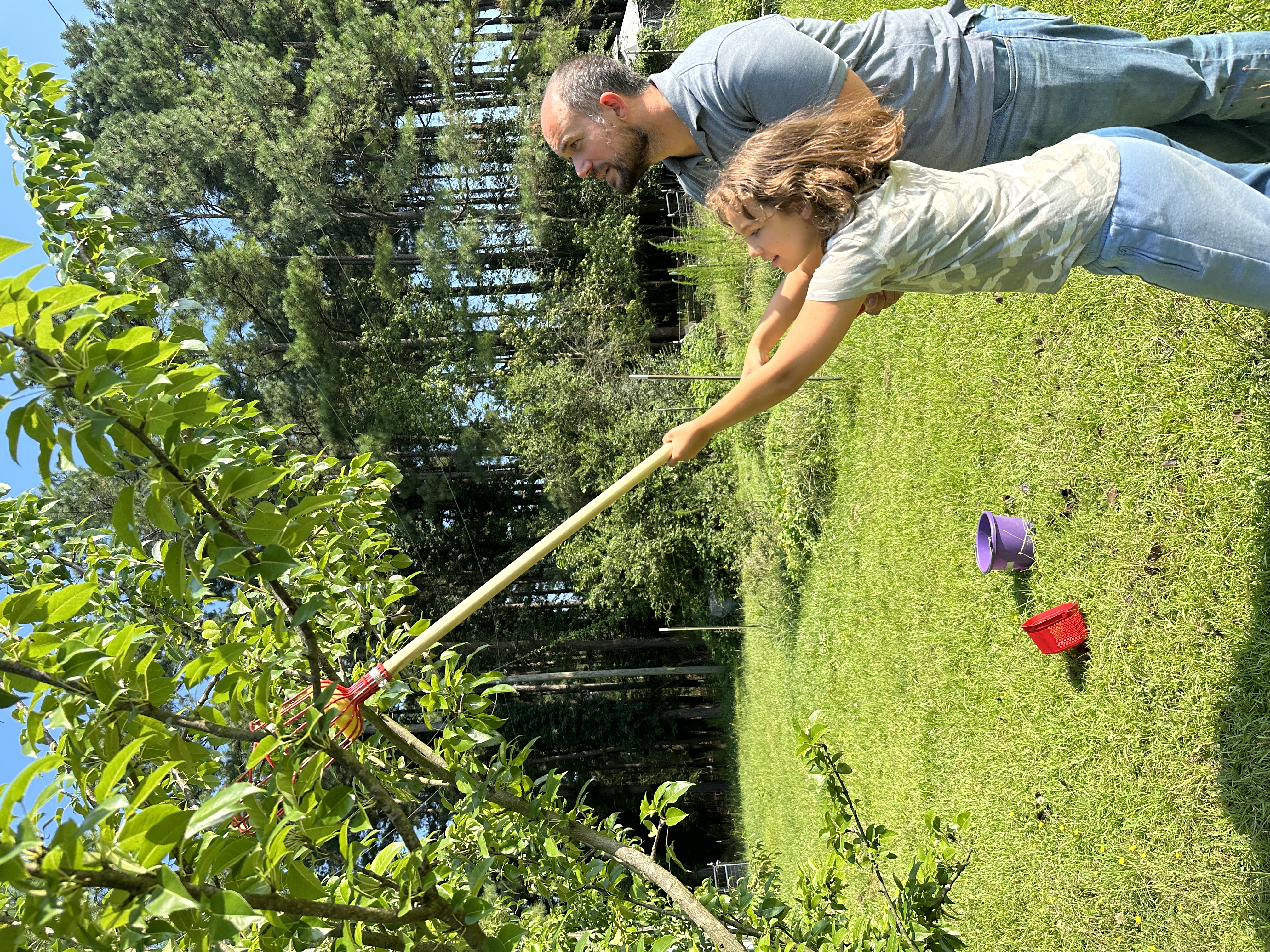 Garden Wrap-UP